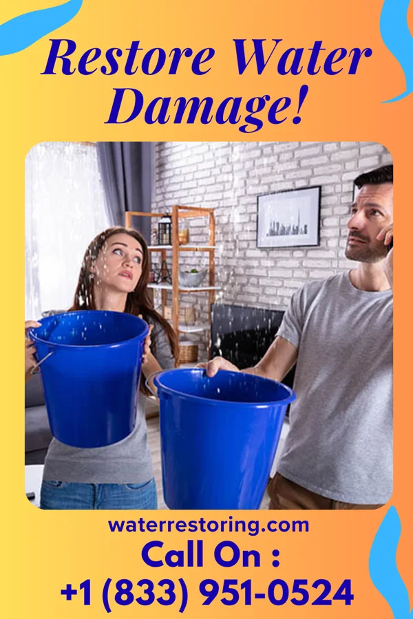 water restoration Apex Extraction Contractors Vance