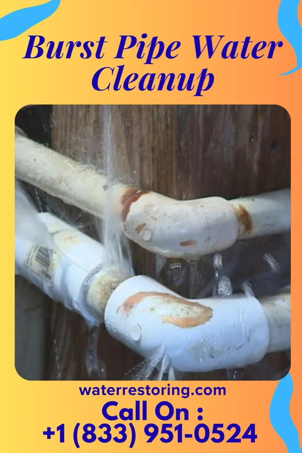 Burst Pipe Water Cleanup in Vance, SC