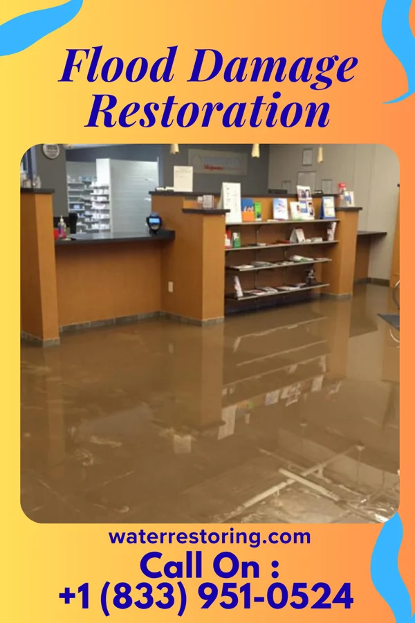 Flood Damage Restoration in Vance, SC