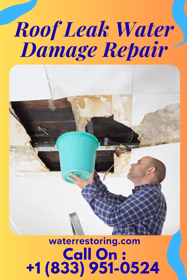 Roof Leak Water Damage Repair in Vance, SC