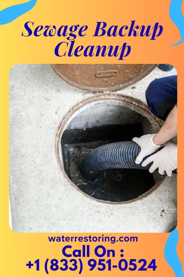 Sewage Backup Cleanup in Vance, SC