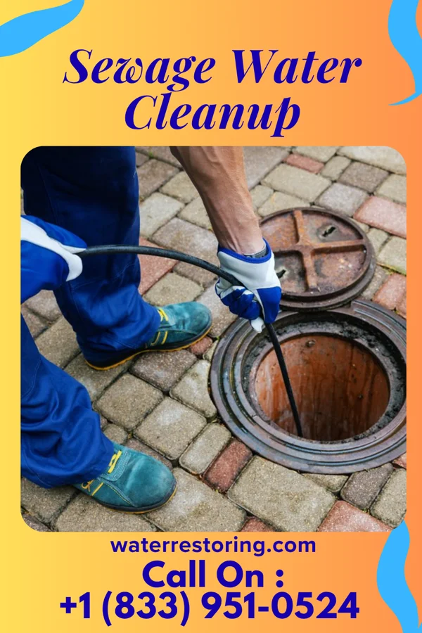 Sewage Water Cleanup in Vance, SC