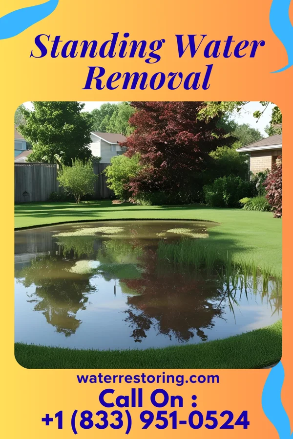 Standing Water Removal in Vance, SC